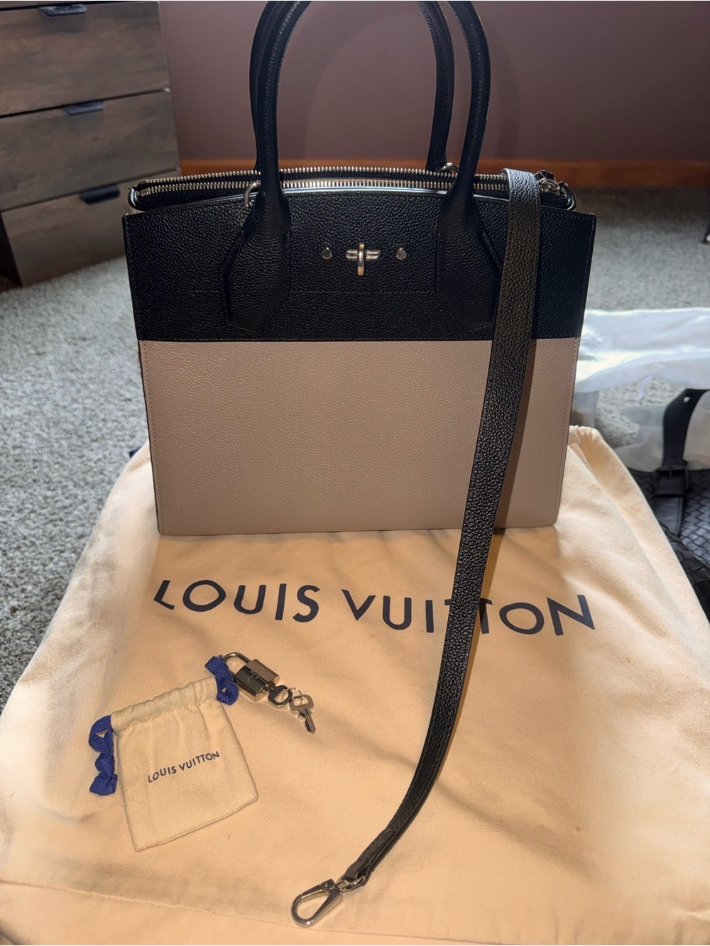 Louis Vuitton Two-Tone City Steamer